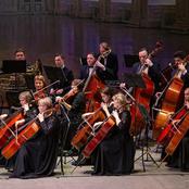 Новогодний Штраус-концерт «На прекрасном голубом Дунае...»