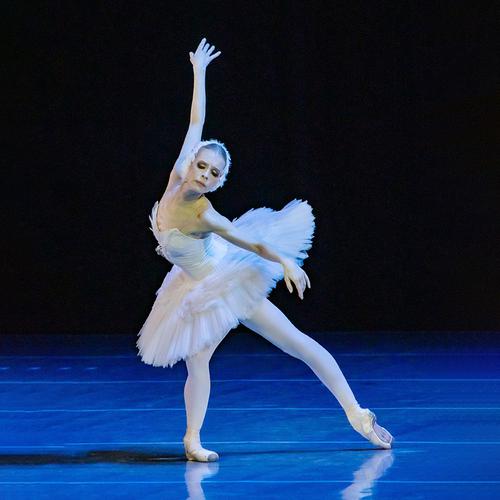 XIV Международный фестиваль балета «В честь Екатерины Максимовой». Гала-концерт «Татьяна Предеина приглашает...»