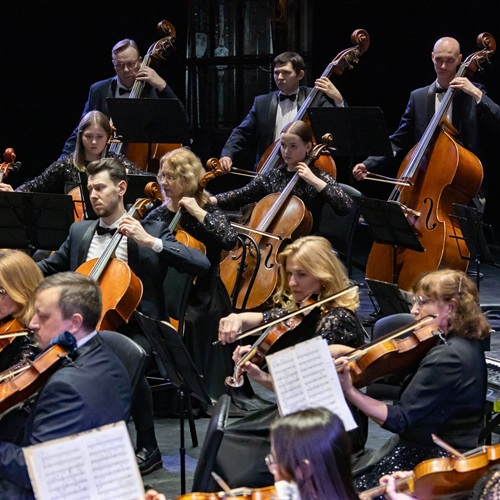 Контрабас и скрипка. О нюансах работы в оркестре театра