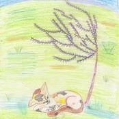 Бобкова Надежда, 12 лет, МОУ шк.-интернат №13, класс 6 "Б"