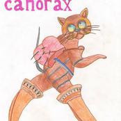 Гольдин Лев, 11 лет, лицей №31, класс 5 "Г" 