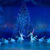 Щелкунчик. Фото А. Голубева