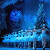 Щелкунчик. Фото А. Голубева