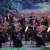 Штраус-концерт. Фото А. Голубева