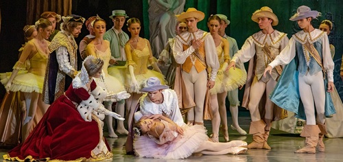 В партии Принца Дезире – Алексей Шакуро