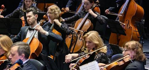 Контрабас и скрипка. О нюансах работы в оркестре театра