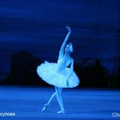 Лебединое озеро