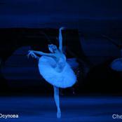 Лебединое озеро