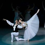 Русские сезоны ХХI века