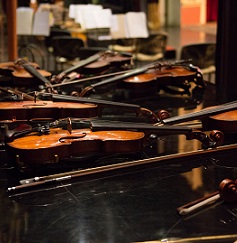 Симфонические метаморфорзы