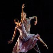 Начо Дуато «NA FLORESTA/В лесу». Фото М. Логвинова