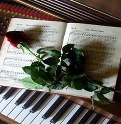 Музыкальный салон "ВЕЧЕРА В ОПЕРЕ"